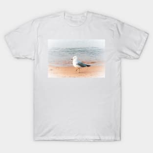 Seagull on the Beach at Okanagan Lake T-Shirt